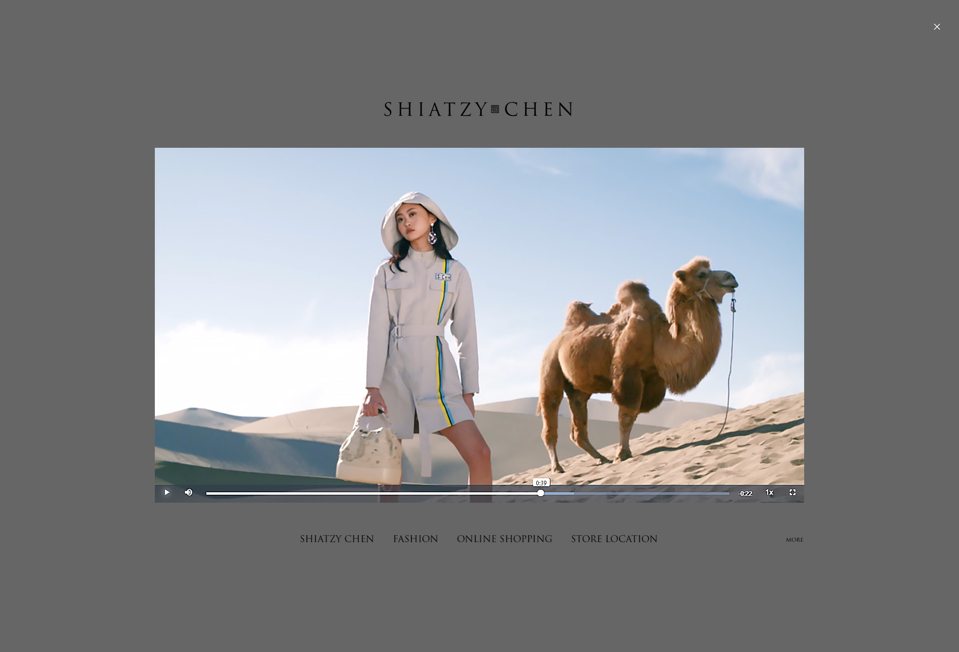 Shiatzy Chen image