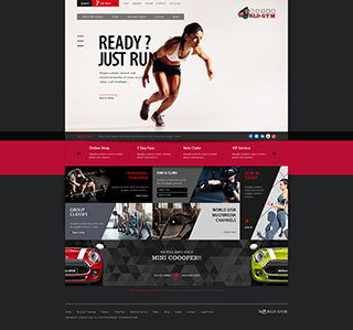 入口網站頁設計 World Gym image